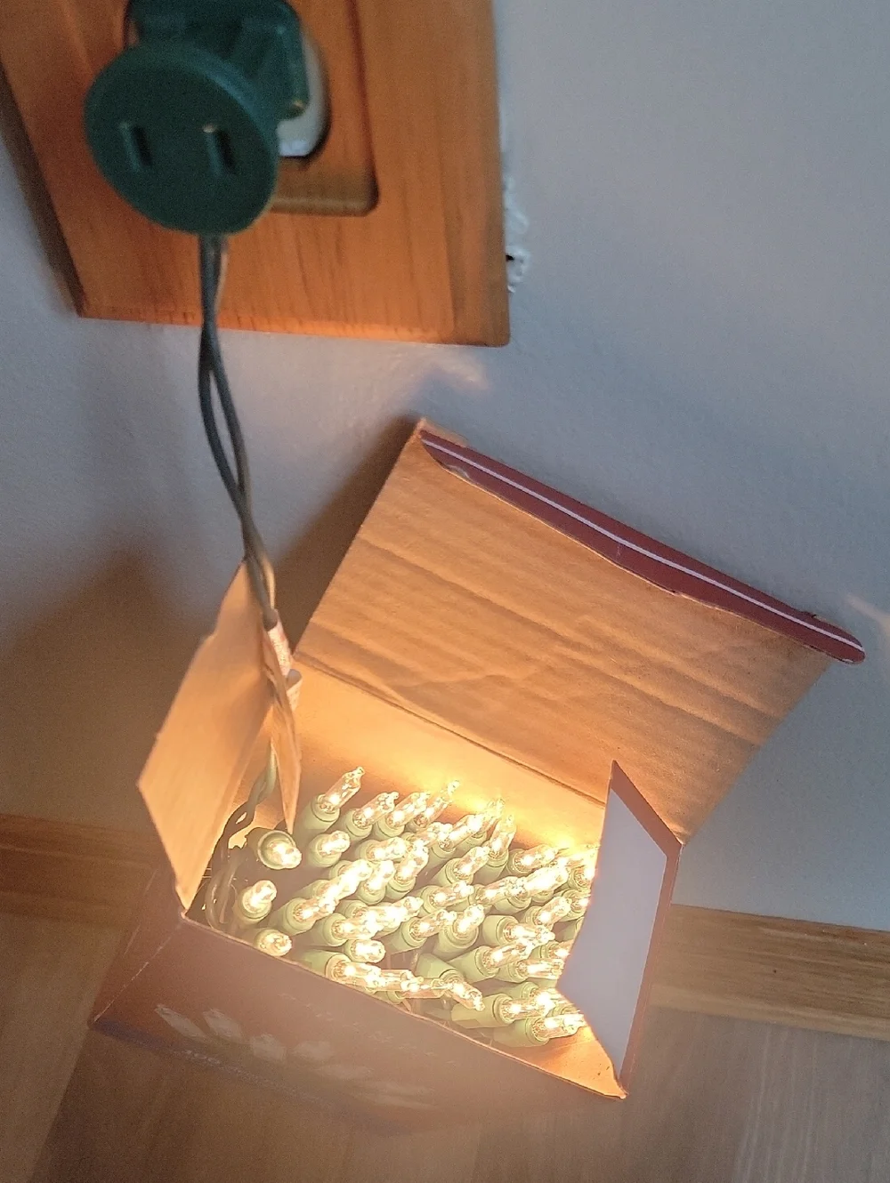 NWT Clear Christmas Lights